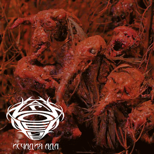 Гной (маразматическое помешательство)