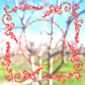 Entre Ramas y Espinas