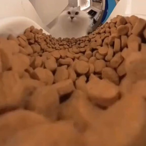 Kill A Man (sped up)