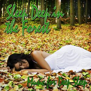 Peaceful Forest Ambience for Refreshing Sleep