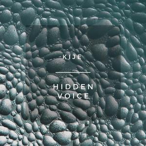 Hidden Voice