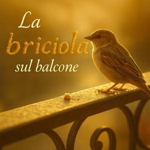 La briciola sul balcone