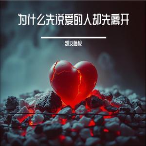 为什么先说爱的人却先离开