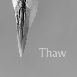 Thaw (March)