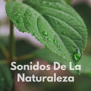Ondas Largas