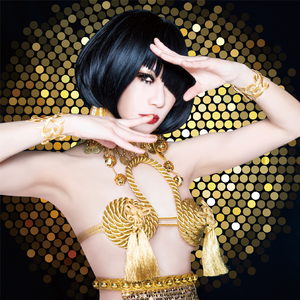 秘密諜報員出動セヨ