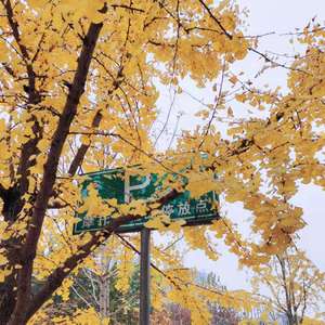 20210102211619格式转换