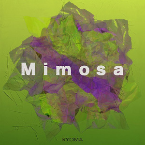 Mimosa