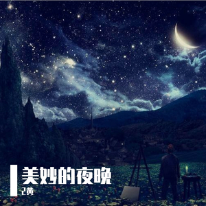 美妙的夜晚