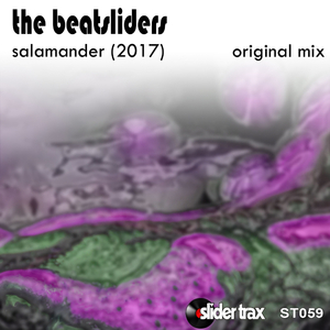 Salamander (2017) (Original Mix)