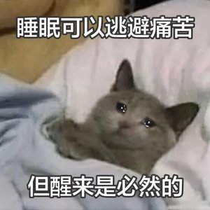 迷失心跳