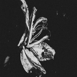 Razzortrigger (Remixed & Remastered)