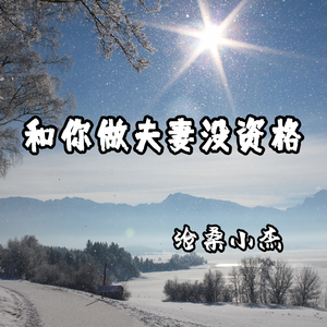 和你做夫妻没资格