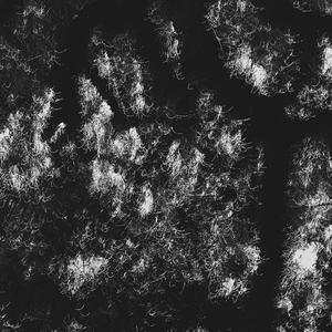 Glory (feat. Phinisey)