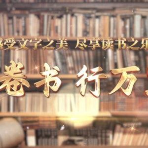 我们是新华人.wav