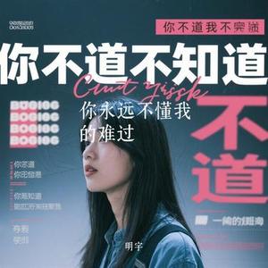 你永远不懂我的难过