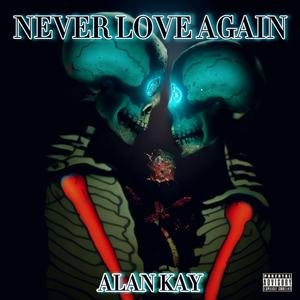 Never Love Again