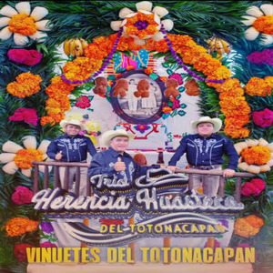 Vinuetes Del Totonacapan