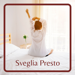 Collezione Di Auto D'epoca