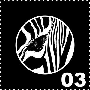 Ebra (Nikitin & Samikadhev Remix)