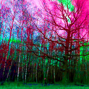 ТАМПОНЫ ДЛЯ АЛËНЫ