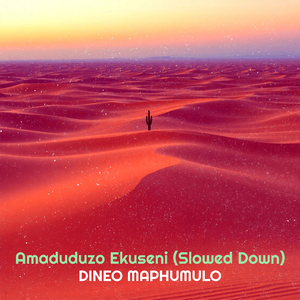 Izinsuku Ezizayo (Slowed Down)