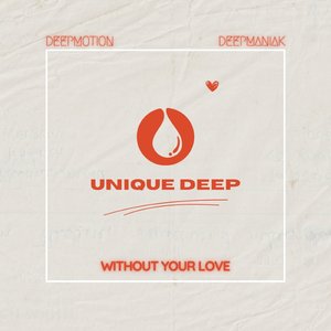 Without Your Love (VIP Mix)