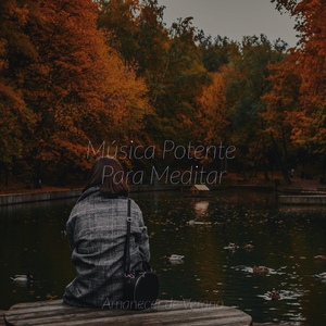 Celebración de la Constelación de Medianoche