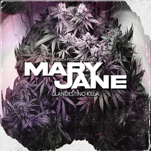 Mary Jane