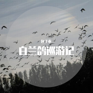 白兰鸽巡游记