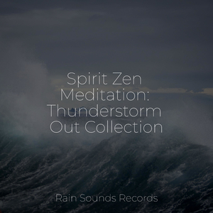 Dawn in the Forest, Birds