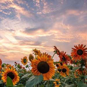 问好（Prod By Jaming beats）