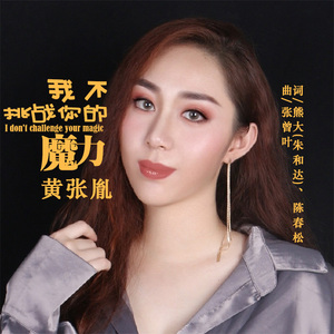 我不挑战你的魔力