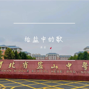 给盐中的歌