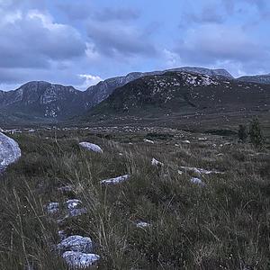 The Value of Love HDM