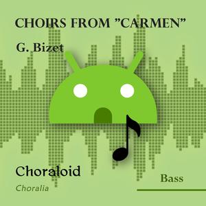 Choirs from "Carmen": Quant au douanier (Bass II - Voice with metronome)