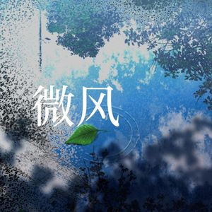 微风