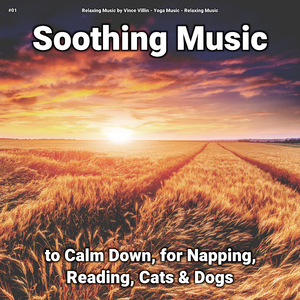 Soothing Music, Pt. 24