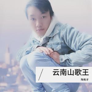 云南山歌王 (陶有才版)
