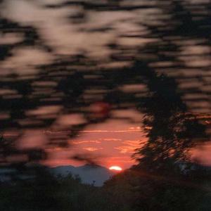 栅栏间隙偷窥你