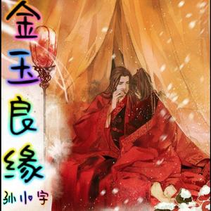 孙昭宇 - 金玉良缘（烟嗓版）