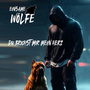 Du Brichst Mir Mein Herz