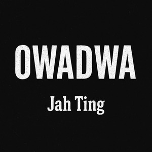 Owadwa