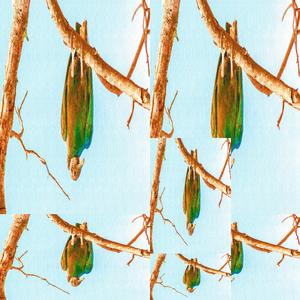 urubu do pix o filme parte 2 I want to believe s2 (feat. MC Androidão, dj queria ser o faraó do pix, homem aranha antigo ta mais antigo ainda, lula pfv libera a makonha, COMEDXR DE CASADXS & Gemidão do Zap deveria ser o Hino Nacional)