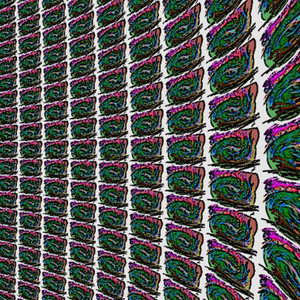 the grace of light/光の恩寵