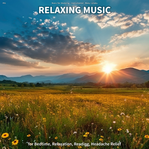 Revitalising Freedom