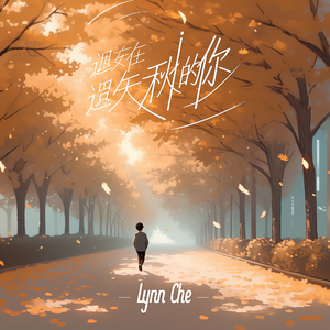 遗失在秋天的你