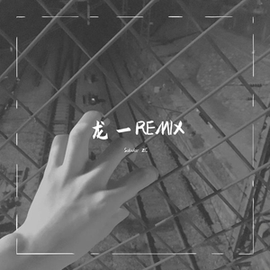 坂本龍一-龙一 remix （Saludar 2C remix）