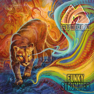 Funky Strummer