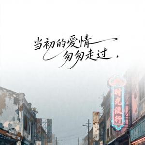 当初的爱情匆匆走过